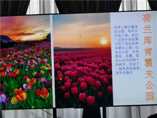 四川中青旅绵阳分社独家(jiā)定制圆梦欧洲系列 - 大全景 9 国 16 天 德国-法国-瑞士-意大(dà)利-奥地利-荷兰-比利时-列(liè)支(zhī)敦士登-卢森堡(bǎo)
